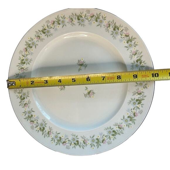 4 Johann Haviland “Forever Spring” 10” Dinner Plates Porcelain Germany EUC - Picture 13 of 16